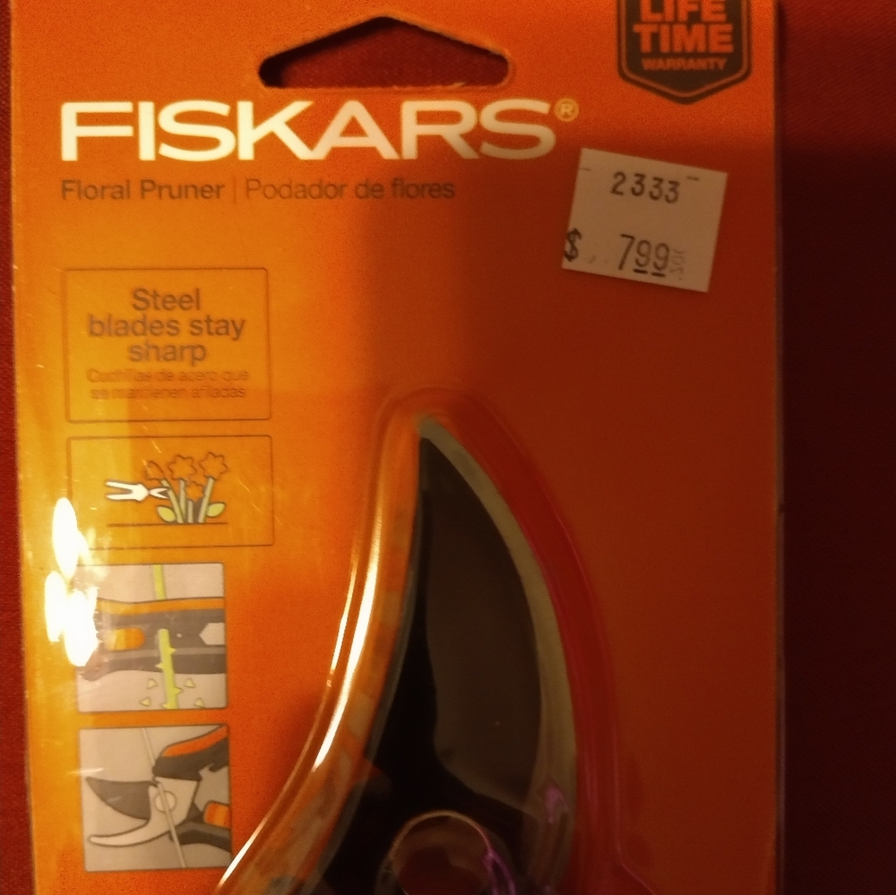 Cesar - Picture 2 of 3